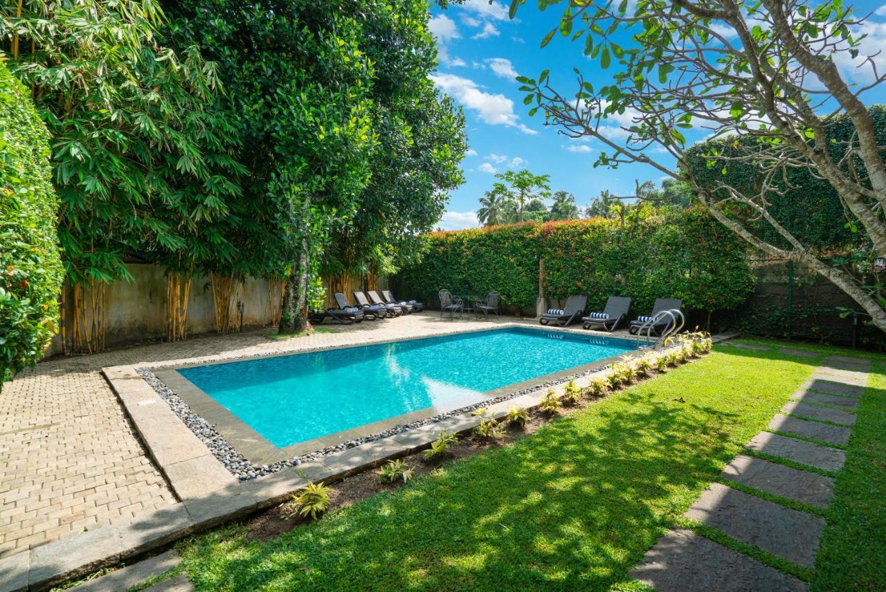 Clove Villa Kandy Eksteriør bilde